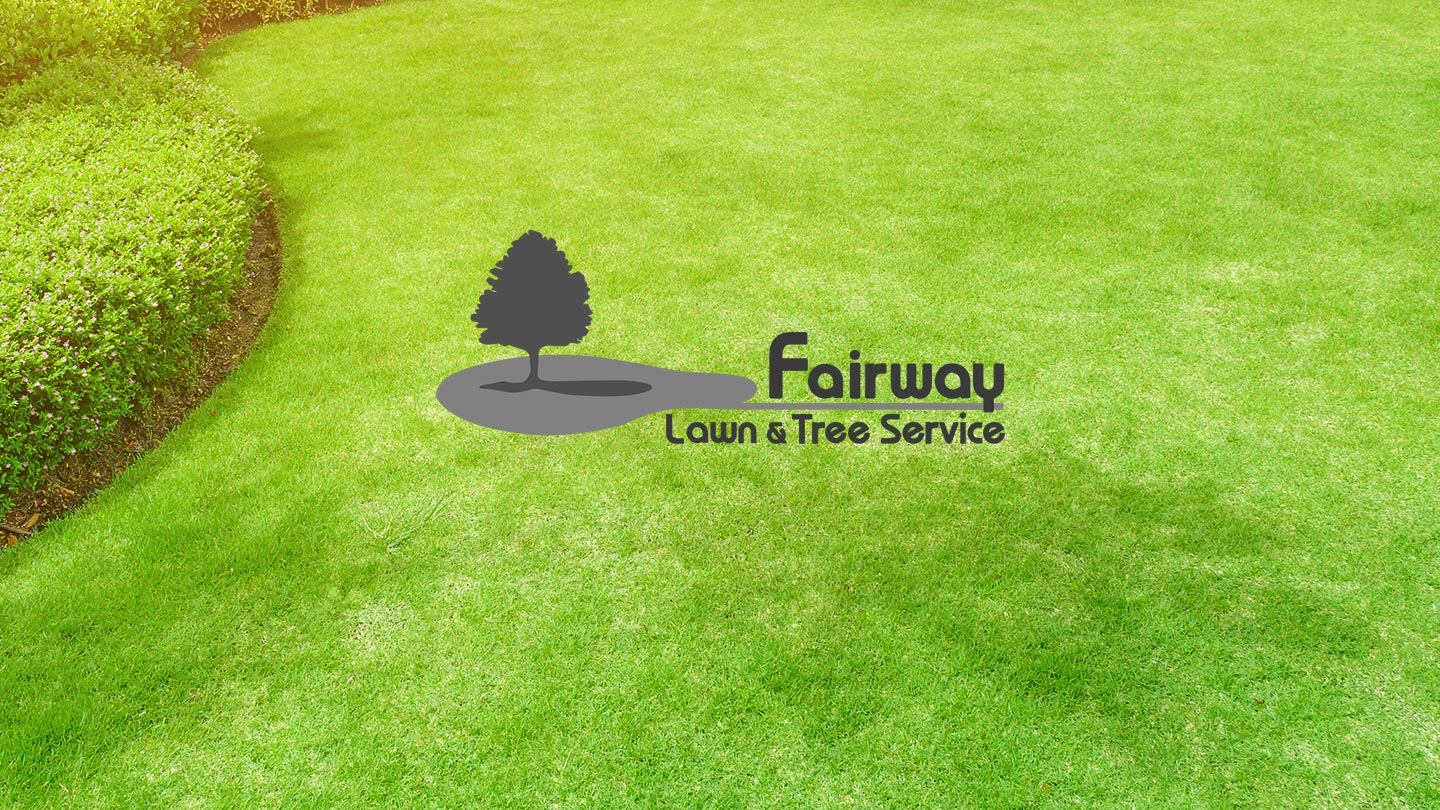 A neatly mowed lawn with Fairway Tree and Lawn logo in center