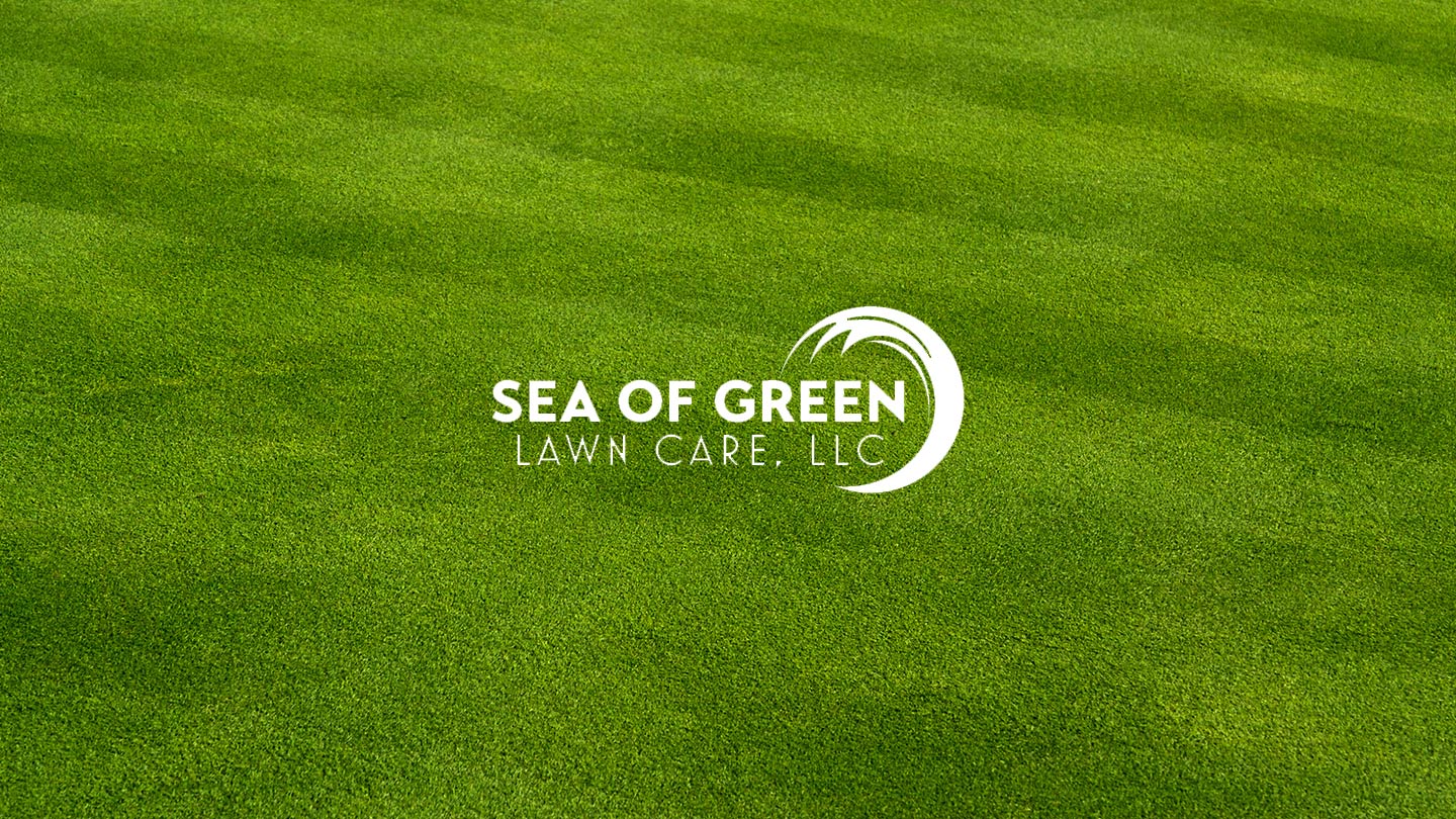 Sea of Green Lawn Care logo on green grass background