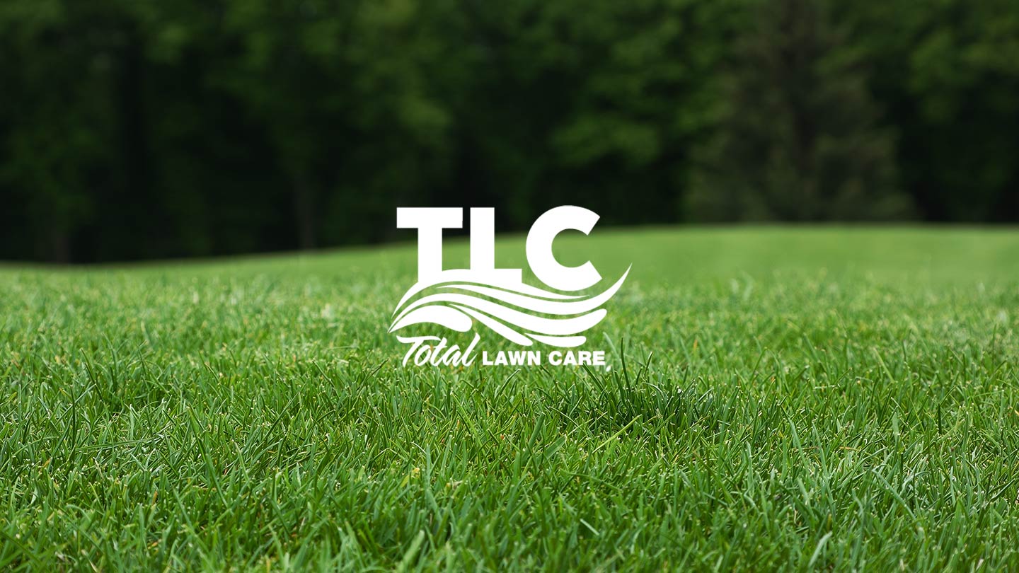 Total Lawn Care logo in foreground with lush green lawn in background